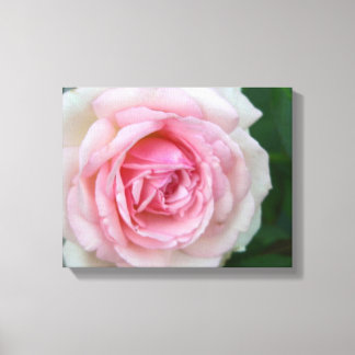 Toile Rose et Rose blanche