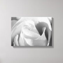 Rose romantique Fleur noir et blanc
