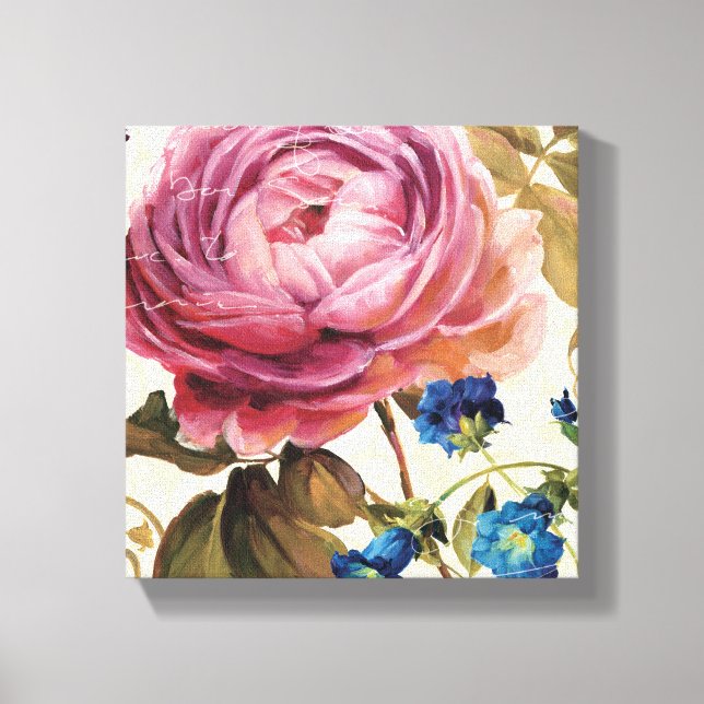 Toile Rose rose en pleine floraison (Recto)