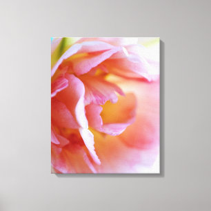 Toile Rose rose rose