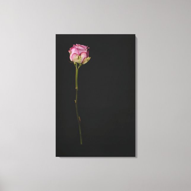 Toile Rose rose rose 3 (Recto)
