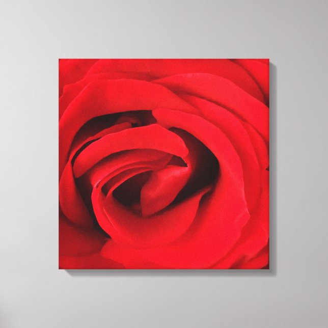 Toile Rose rouge (Recto)