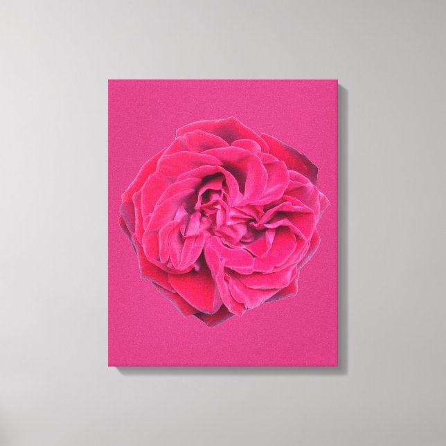 Toile Rose rouge (Recto)