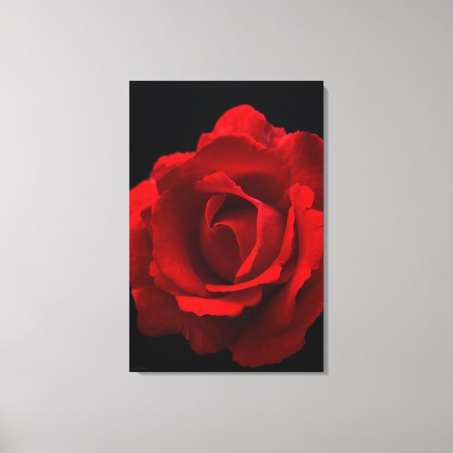 Toile Rose rouge 24x36 (60x90cm) waccnm (Recto)