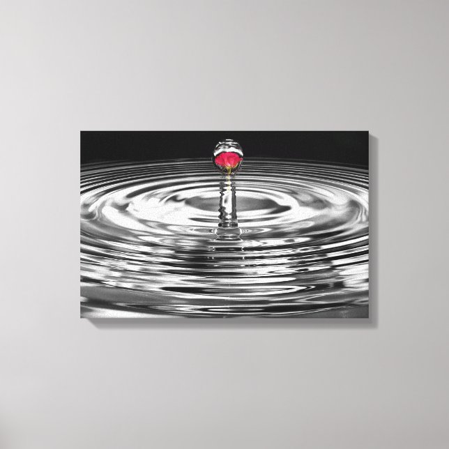Toile rose rouge dans la gouttelette d'eau (Recto)