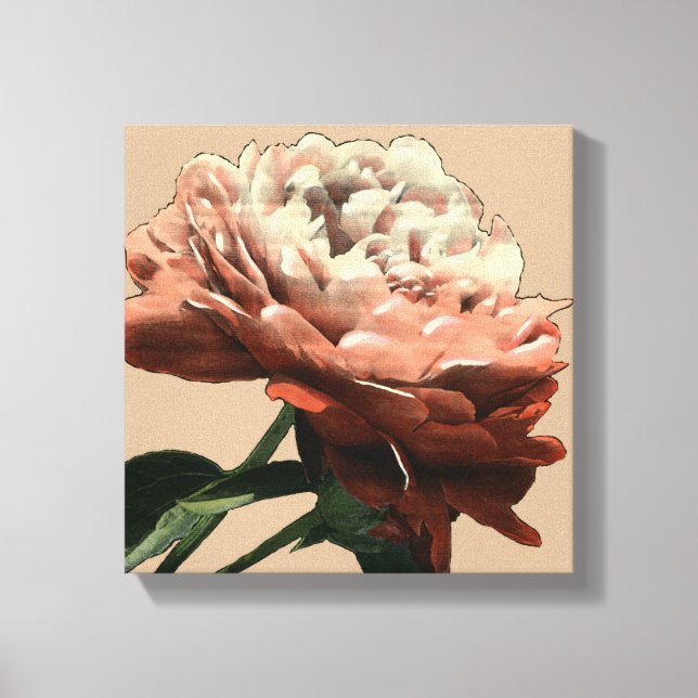 Toile Rose rouge rubis aux accents blancs (Recto)