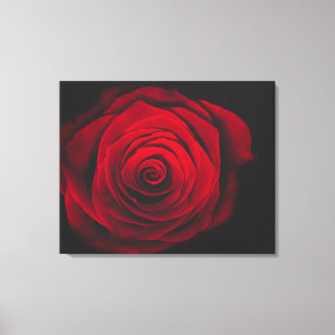 Toile Rose rouge sur effet vintage arrière - plan noir