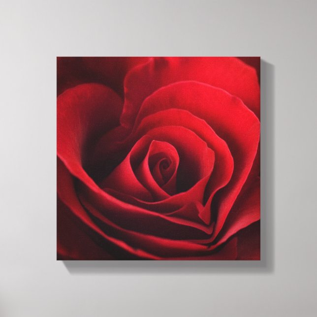 Toile Rose rouge Valentine (Recto)
