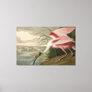 Toile Roseate Spoonbill from Audubon's Birds of America
