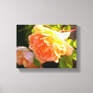 Toile Roses de pêche par pays