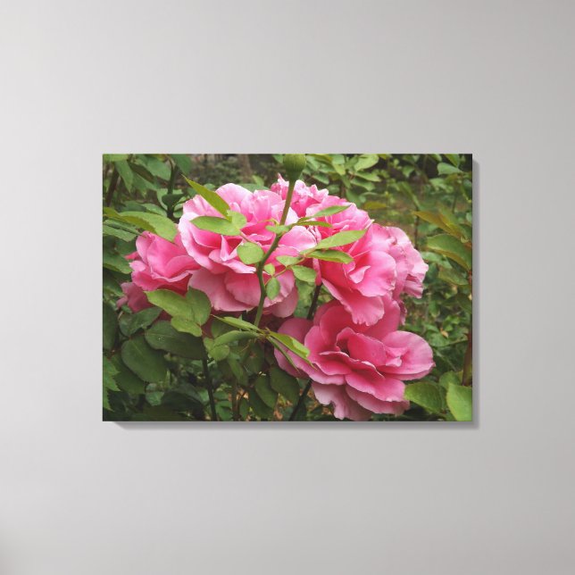 Toile Roses roses (Recto)