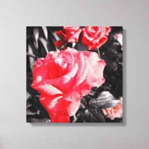 Toile Roses rouges romantiques