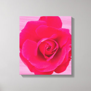 Toile Rouge romantique Rose rose v2