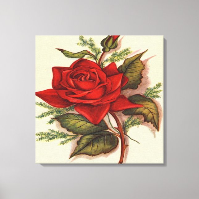 Toile Rouge Rose Premium Wrapped (Gloss) (Recto)