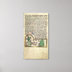 Toile Roy Page de texte avec illustration