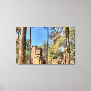 Toile Ruines de Bulow Plantation, Floride