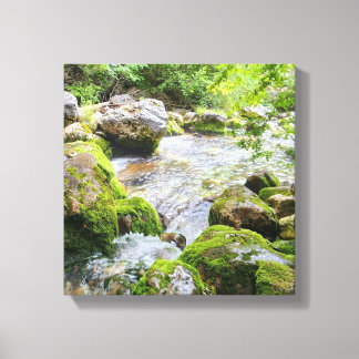 Toile Ruisseau de montagne moussu – Rivière de forêt vie