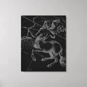 Toile Sagittaire Constellation Hevelius circa 1690