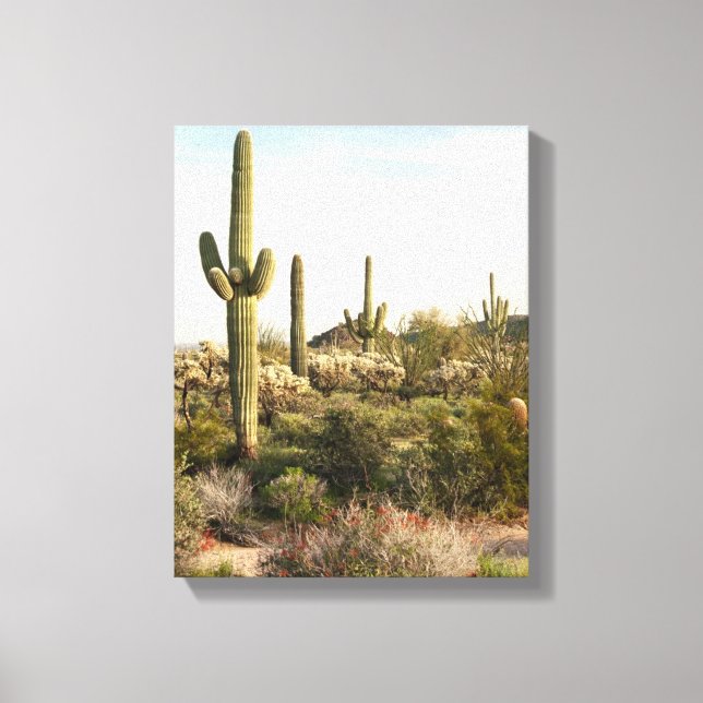 Toile Saguaro Cactus, Arizona, USA (Recto)