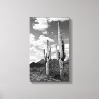 Saguaro Cactus Sonoran Desert B&W Photo Art Imprim