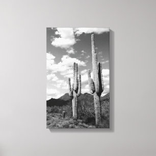 Toile Saguaro Cactus Sonoran Desert B&W Photo Art Imprim