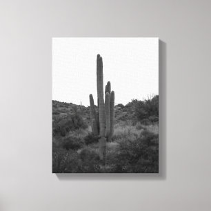 Toile Saguaro noir et blanc Cactus 11x14
