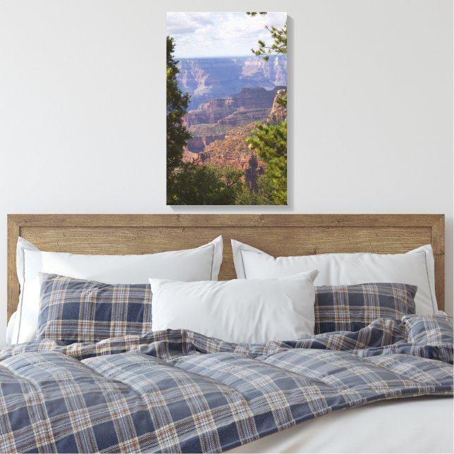 Toile Saison De Mousson À North Rim Du Grand Canyon (Insitu(Chambre))