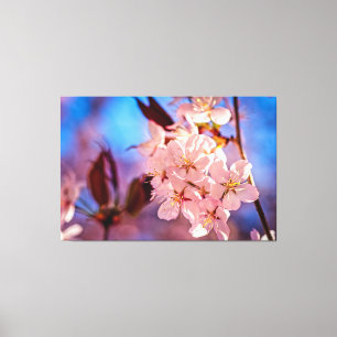 Toile Sakura Dans L'Ombre Des Arbres