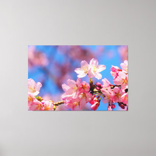 Toile Sakura Rose Fleurs Sur Un Arbre Au Printemps