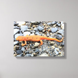 Toile Salamander orange