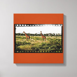 Toile Samburu Giraffes