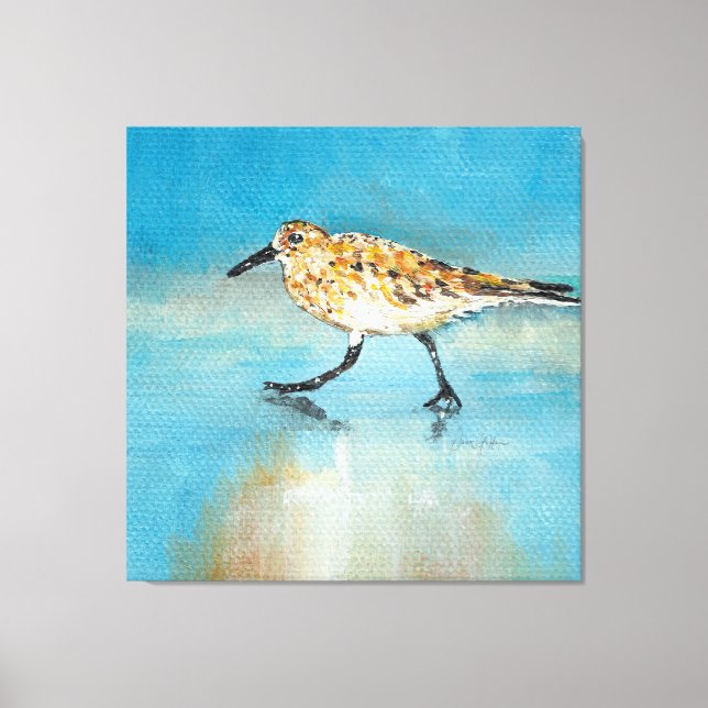 Toile Sandpiper North American Wading Shorbird Canvas (Recto)