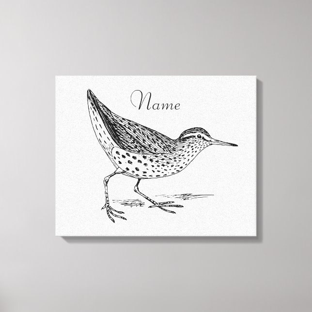 Toile Sandpiper Shorer Thunder_Cove (Recto)