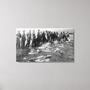 Toile Saumon à l'Astoria, OU photo