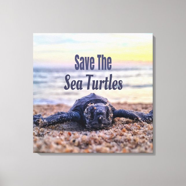 Toile Sauvez les tortues marines (Recto)