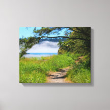 Scène côtière, chemin de plage, bord de mer, belle