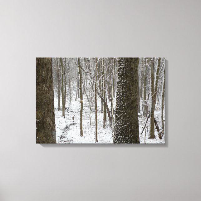 Toile Scène de bois enneigés (Recto)