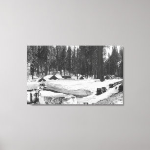 Toile Scène de neige de parc national de séquoia dans 