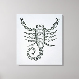 Toile Scorpion (le scorpion) une illustration du 'P