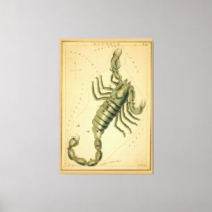 Toile Scorpion (Scorpion) - Signe Vintage de l'image zod
