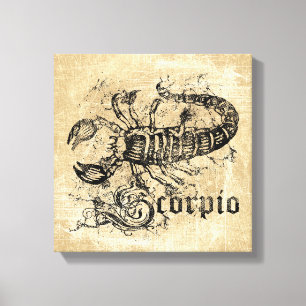 Toile Scorpion Zodiac vintage