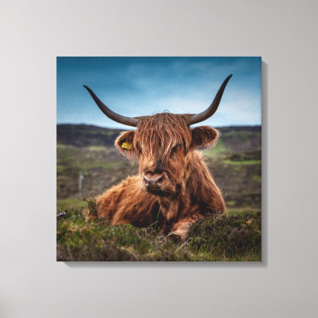 Toile Scottish Highland Cow Longhorn Bull Rancher (Recto)