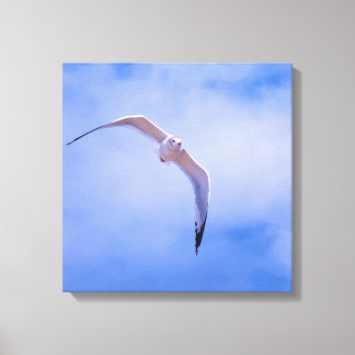 Toile Sea gull in flight