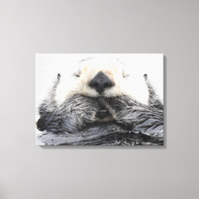 Toile Sea Otter Sleeping (Recto)