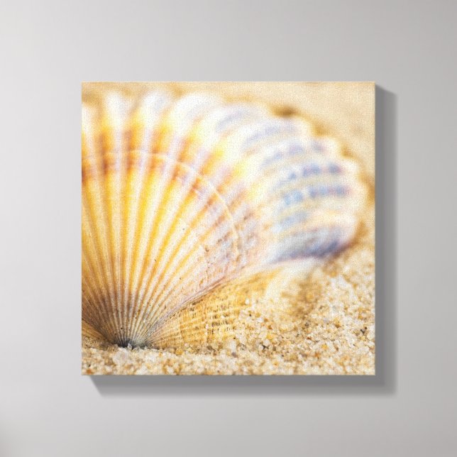 Toile Seashell (Recto)