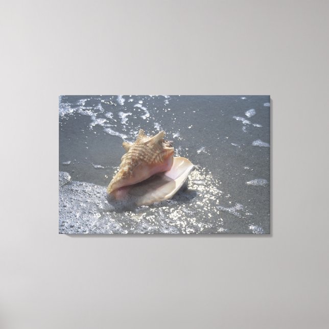 Toile Seashell | Sanibel Island, Floride (Recto)
