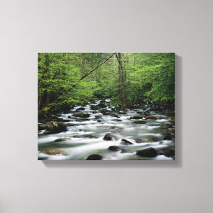Toile Secteur de région de Greenbrier, Great Smoky