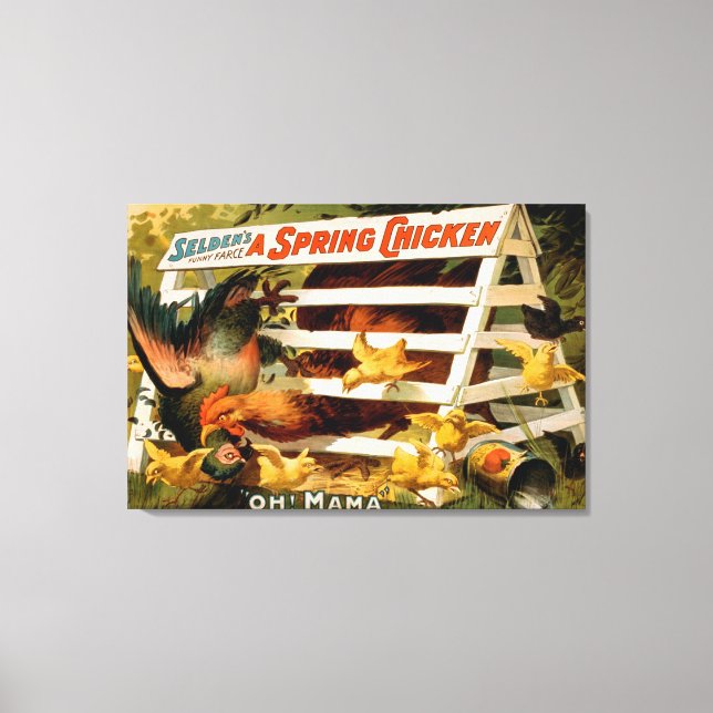 Toile Selden's Funny Farce, A Spring Chicken Play (Recto)