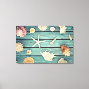 Toile Sélection Des Coquillages