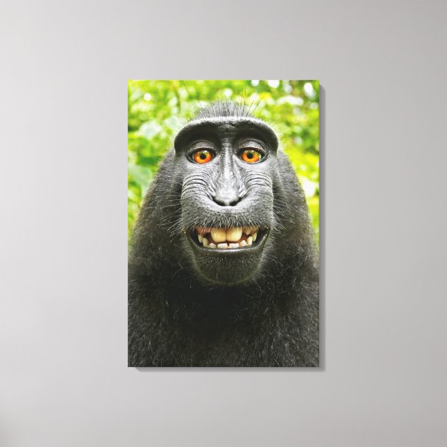 Toile Selfie singe (Recto)